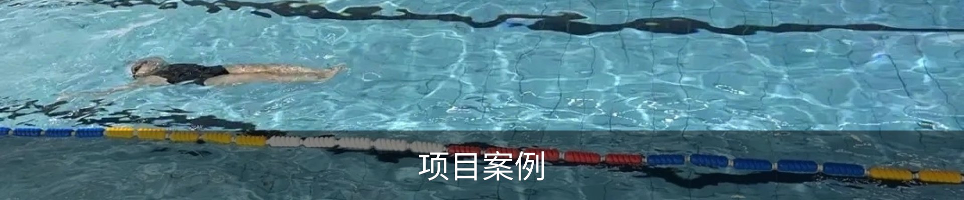 项目案例